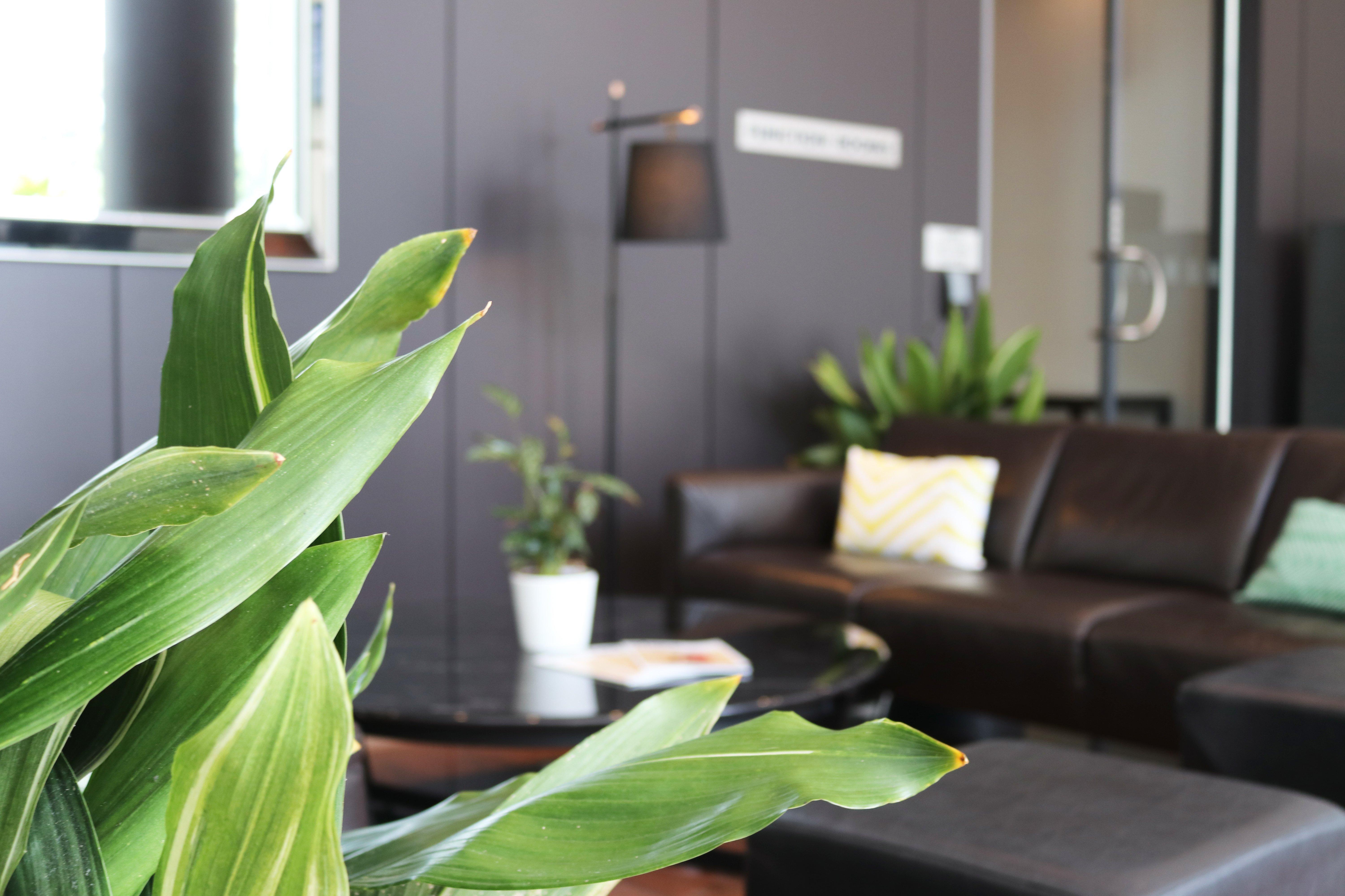 Hotel Crowne Plaza Sydney Airport By Ihg Esterno foto